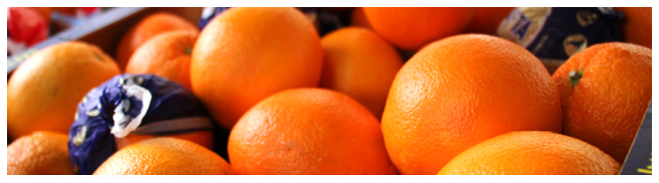 Unsere saftigen Orangen