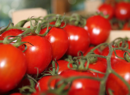 Tomaten aus dem Bauernladen